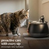 image:imageBISSELL HydrateWell Pet Water Fountain 91oz Automatic Cat Water Fountain with Wireless Pump SlimeShield and 5Layer Filtration Ultra Quiet Cat Water Dispenser 4408