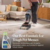 image:imageBissell PET PRO OXY Urine Eliminator with Febreze Carpet Deep Clean Solution with StainProtect Technology for use in leading upright carpet cleaners 48oz Our best formula for pet messes amp odors48 Fl Oz Pack of 1