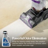image:imageBissell PRO OXY Carpet Deep Clean Solution for use in leading upright carpet cleaners 48oz Removes deep down dirt stains amp odorsPro Max