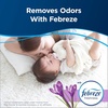 image:imageBissell PRO OXY Carpet Deep Clean Solution for use in leading upright carpet cleaners 48oz Removes deep down dirt stains amp odorsPro Max with Febreze
