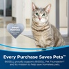 image:imageBissell Pet Stain amp Odor plus Antibacterial 2 in 1 Carpet Formula40 Fl Oz Pack of 1