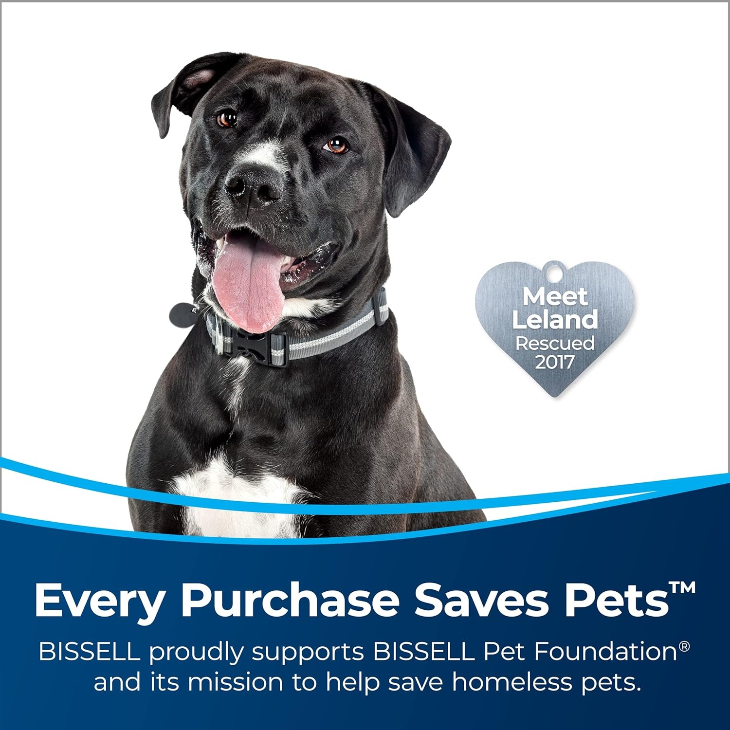 image:imageBissell MultiClean Allergen Rewind Pet Vacuum with HEPA Filter Sealed System Automatic Cord Rewind TangleFree Brush Roll amp LED Headlights 3405MulitClean LiftOff