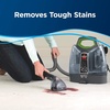 image:imageBissell Spot amp Stain with Febreze  Gain Original Scent Formula for Little Green Devices Portable Carpet Cleaners 3968Febreze Spring and Renewal