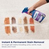 image:imageBissell Woolite Advantage Pet Stain amp Odor Remover  Oxy 2Pack 3326