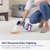 image:imageBissell Woolite Advantage Pet Stain amp Odor Remover  Oxy 2Pack 3326