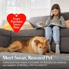 image:imageBISSELL PET PRO OXY Spot amp Stain Formula for Portable Carpet Cleaners 32 oz 2034Free and Clear