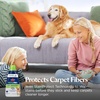 image:imageBISSELL PET PRO OXY Spot amp Stain Formula for Portable Carpet Cleaners 32 oz 2034Pet Pro Oxy 32 oz