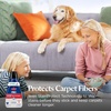 image:imageBissell Professional Spot and Stain  Oxy Portable Machine Formula 32 oz Single 32 Fl Oz32 Fl Oz Pack of 1