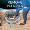 image:imageBissell Stomp N Go Pet Lifting Pads  Oxy for Stain Removal on Carpet amp Area Rug Cleaning 20 Pack20 Count Pack of 1