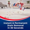 image:imageWoolite Advantage INSTAclean Pet Stain Remover  2 Pack 3322