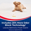 image:imageWoolite Advantage INSTAclean Pet Stain Remover  2 Pack 3322
