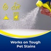 image:imageWoolite Advantage Pet Urine Eliminator 44 Fl Oz Pack of 2